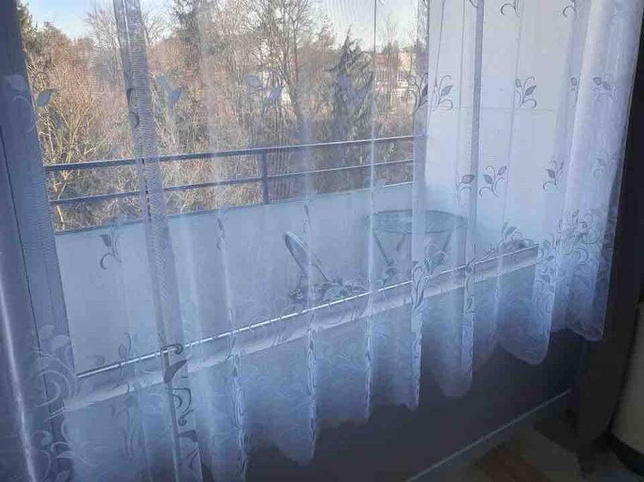 Apartment 55 I Cental Hof I Wifi I Tv Zewnętrze zdjęcie